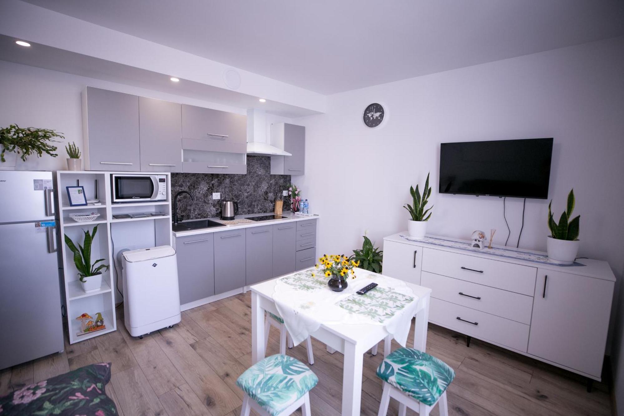 Przytulne Poddasze Apartment Przemysl